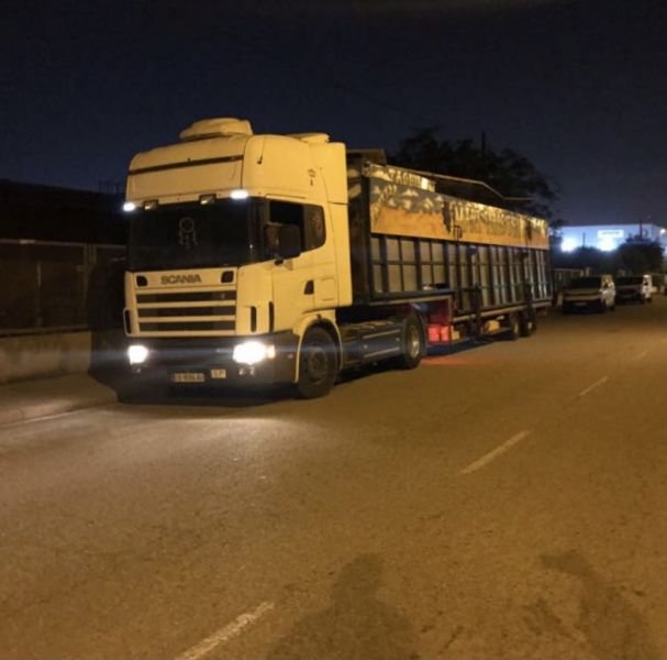 Toros mecanicos grandes Maxi toros Show