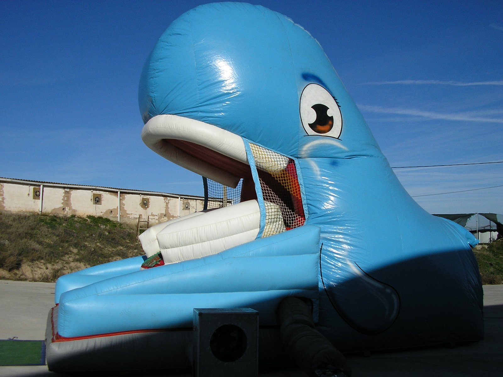 Venta de Hinchables de todo tipo y tamaños